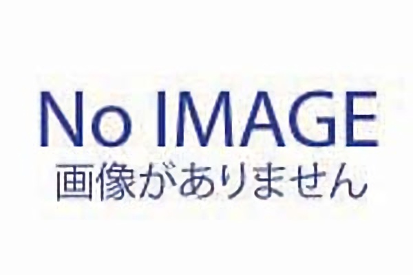 ホーンセット(TS-D1124MG)